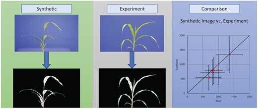 A figure with three panels. On the right is a 3D image of a synthetic plant. In the center is a similar image of a real-world image of a plant. On the right is a comparison of leaf lengths between the synthetic images and the experimental data. The figure shows that the data follows the same trends, but that the synthetic data values are a bit lower.